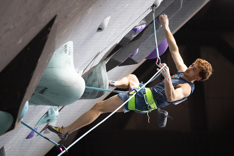 images/54485930006_5b49abd682_c.jpg