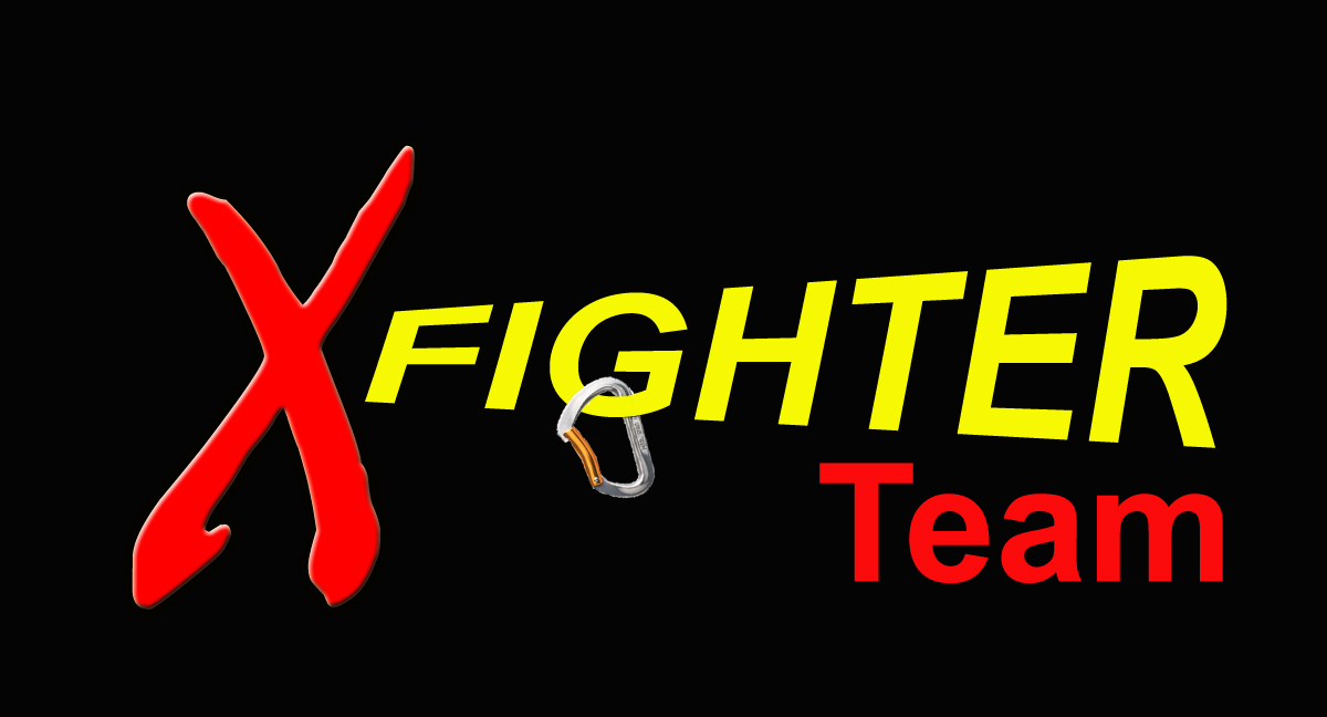 Logo X Fighter